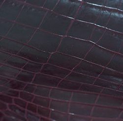 exotics-1-crop-u191297