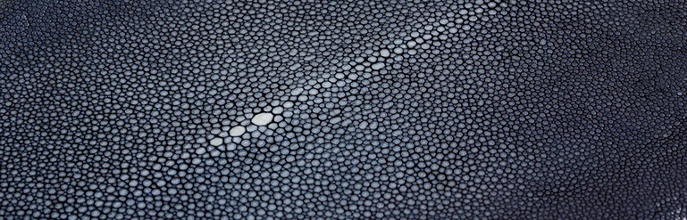 exotics-3-crop-u192202