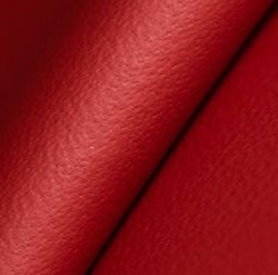 nappa-leather-1-crop-u65201